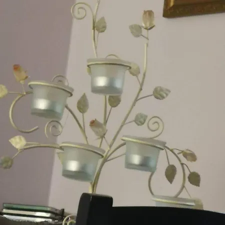 Daire Downtown Authentic Myslym Shyri