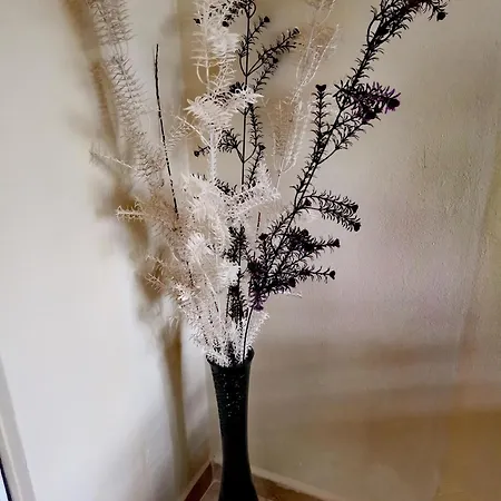 Downtown Authentic Myslym Shyri *